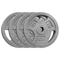 Grey Cast Iron Weight Plates with Grip Handles